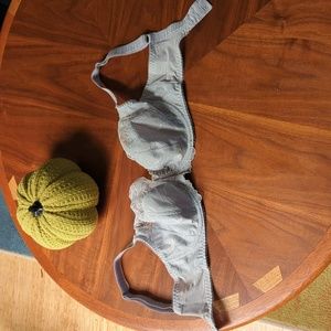 Fantastic Gray/Silver Lace Bra sz 32F
